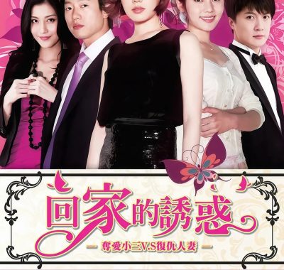 【国剧】回家的诱惑 (2011)全68集1080P国语中字【秋瓷炫 / 李彩桦 / 凌潇肃】