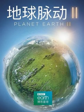 【高分记录片】地球脉动 S01-S03季全集 4K 高码率 1080P 国英双语 中英字幕【收藏版】