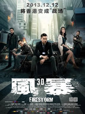 【电影】风暴 (2013)动作/犯罪 1080P国粤多音轨/中文字幕[刘德华/姚晨/林家栋/胡军]
