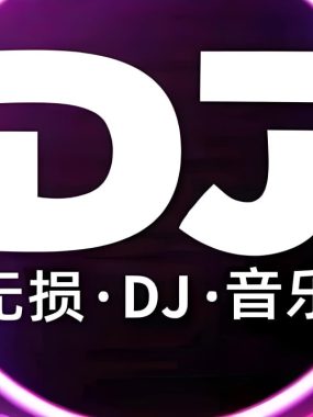 2025年11月抖音车载热门DJ歌曲无损合集