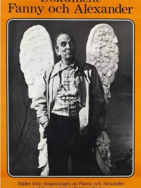 [夸克网盘]瑞典纪录片《芬妮和亚历山大的诞生》（1984）豆瓣8.6